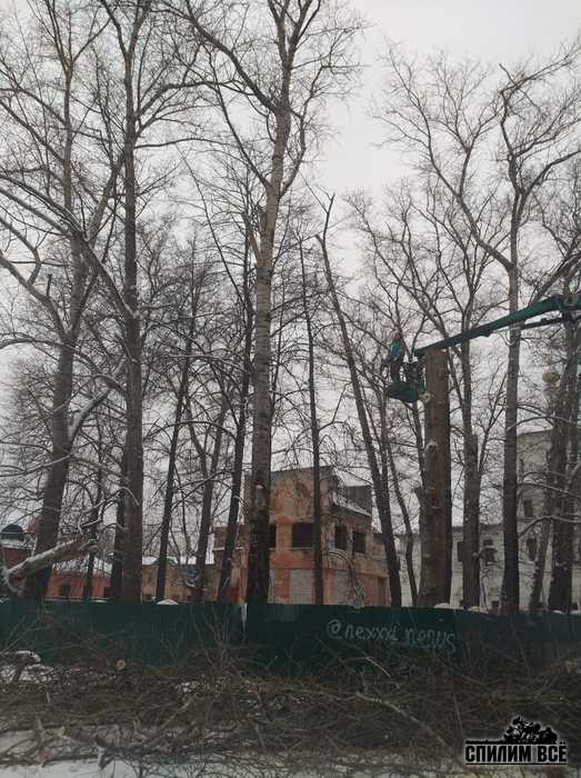 Удаление деревьев и утилизация порубочных остатков Удаление деревьев и утилизация порубочных остатков